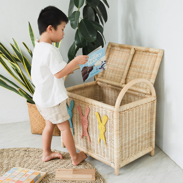Anais Toy Trunk