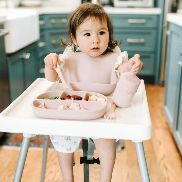 4 Section Suction Plate