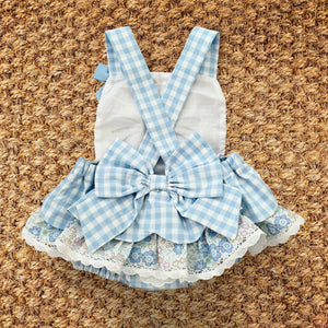 Blue Skirted Bunny Bubble