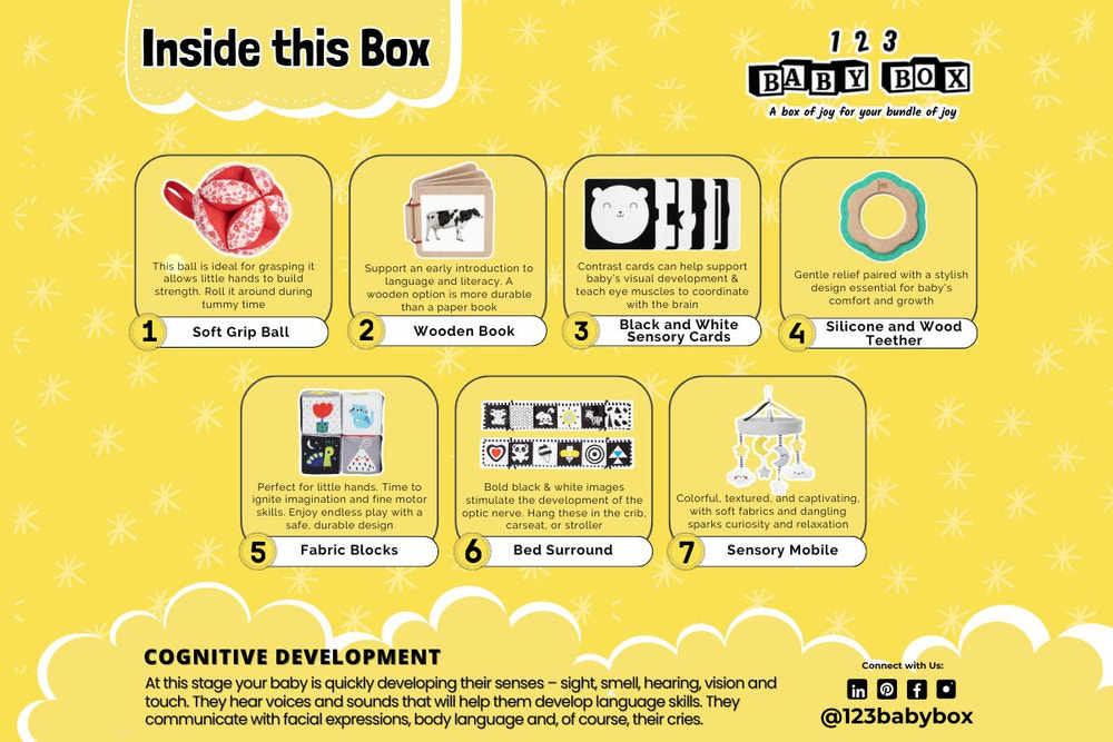 Montessori Educational Box (0-2 Months)