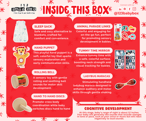 Montessori Educational Box (3-4 Months)