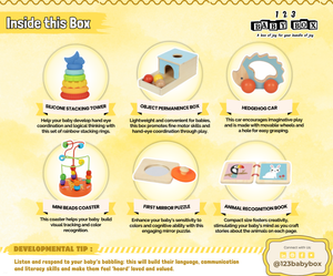 Montessori Educational Box (5-6 Months)