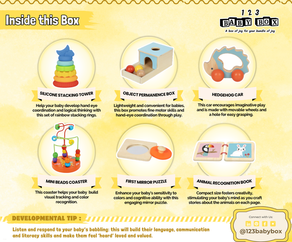 Montessori Educational Box (5-6 Months)