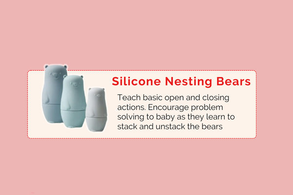 Montessori Educational Box (9-10 Months)