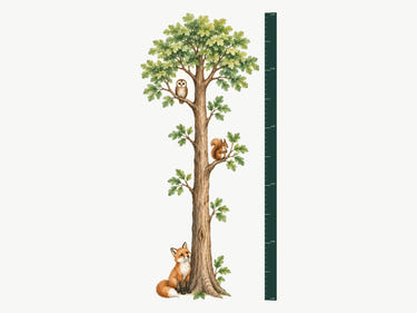 BOY-002_0-ana-tasarim