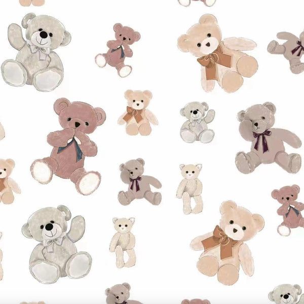 Bear Hugs Sleep Sack