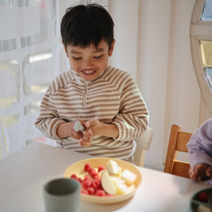 Round Dinnerware Plates