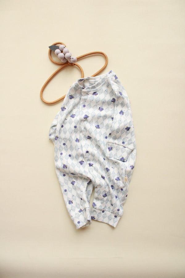 Blueberry Onesie