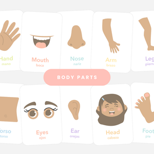 "Colorful body parts flashcards for early learning and sensory play for babies and toddlers."