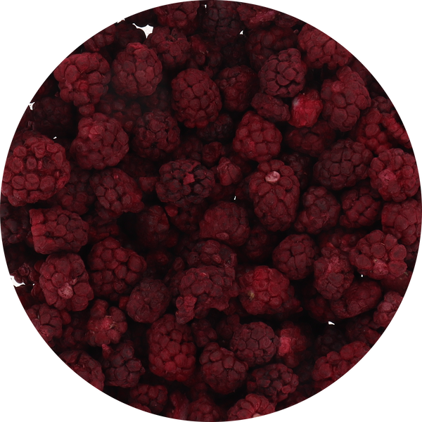 Freeze Dried Boysenberry