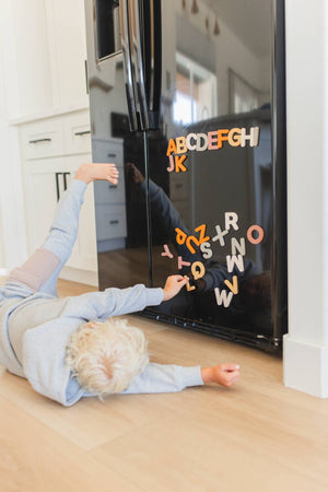 Alphabet Magnet Play Set