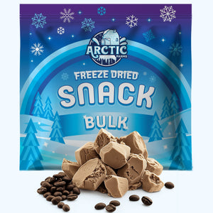 PREMIUM Freeze Dried Ice Cream * Only 5 Ingredients * Neapolitan
