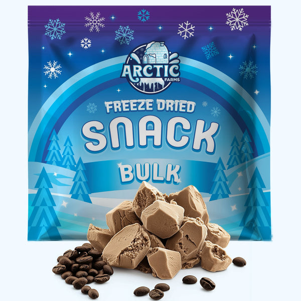PREMIUM Freeze Dried Ice Cream * Only 5 Ingredients * Neapolitan
