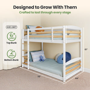 Solid Wood Kids Bunk Bed