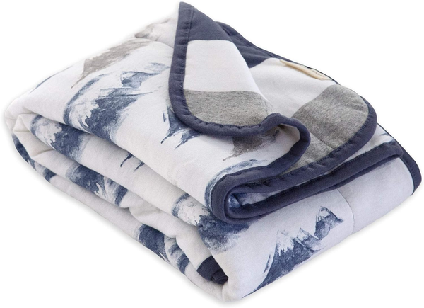 Burt's Bees Baby Organic Cotton Soft Reversible Blanket