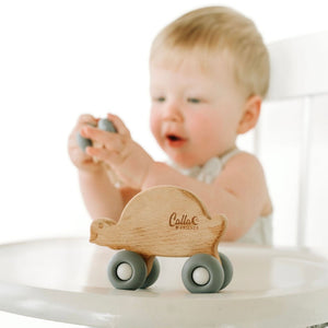 Beechwood Rollin’ Friends - Turtle