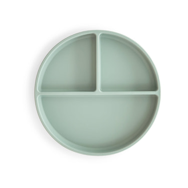 Silicone Suction Plate