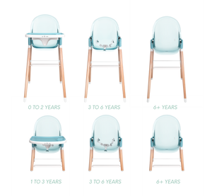 Children of Design 6 in 1 Deluxe High Chair