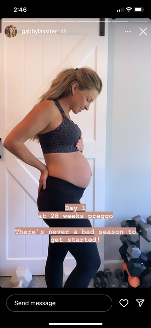 Chloe 4 Running Nursing & Pumping Sports Bra (Gray Leopard)