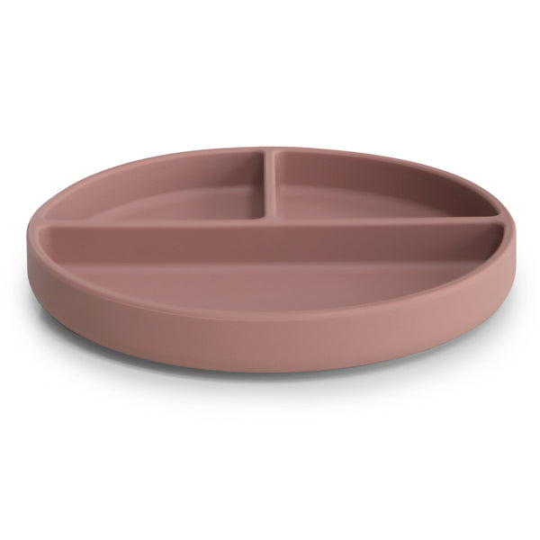 Silicone Suction Plate