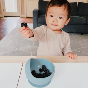 Easy Scoop Suction Bowl