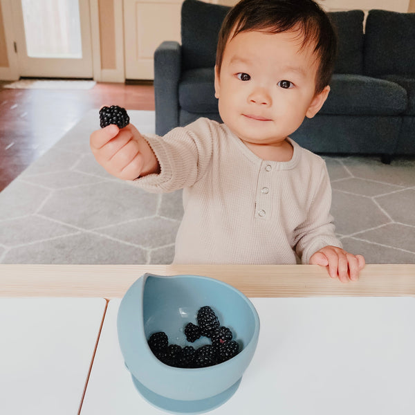 Easy Scoop Suction Bowl