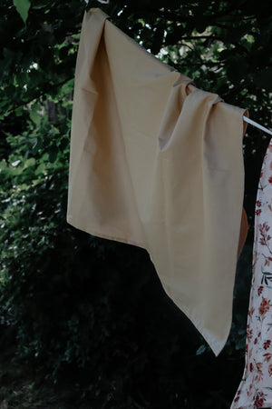 Desert Brown Blanket