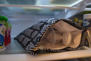 Sarah Wells Pumparoo Wet/Dry Bag – Compact Pump Parts Organizer with Waterproof Compartment & Staging Mat – Machine Washable