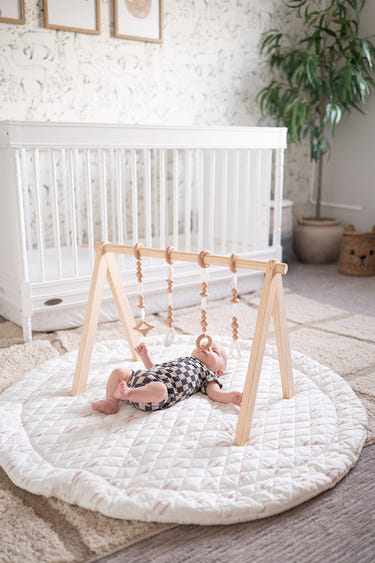 Play Gym Set