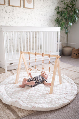 Play Gym Set