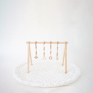 Play Gym Set