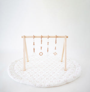 Play Gym Set