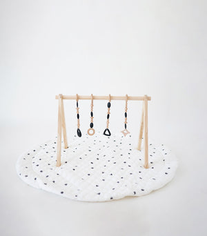 Play Gym Set