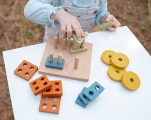 Montessori Shape Puzzle Toy | LYTL®️
