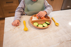 Clay Silicone Suction Plate