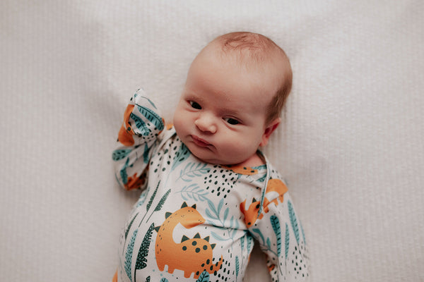 Dinosaur Themed Newborn Knotted Gown