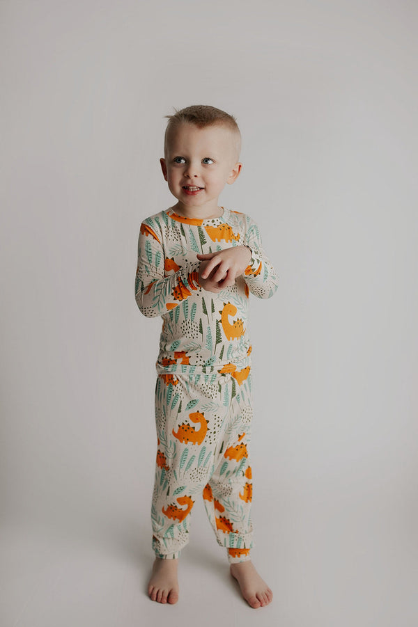 Dinosaur Kids Pajamas