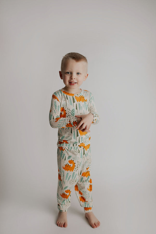 Dinosaur Kids Pajamas
