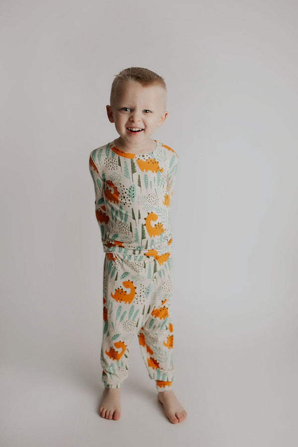Dinosaur Kids Pajamas