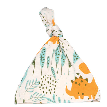 Dinosaur Newborn Knotted Hat