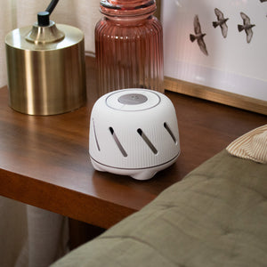 Dohm Connect