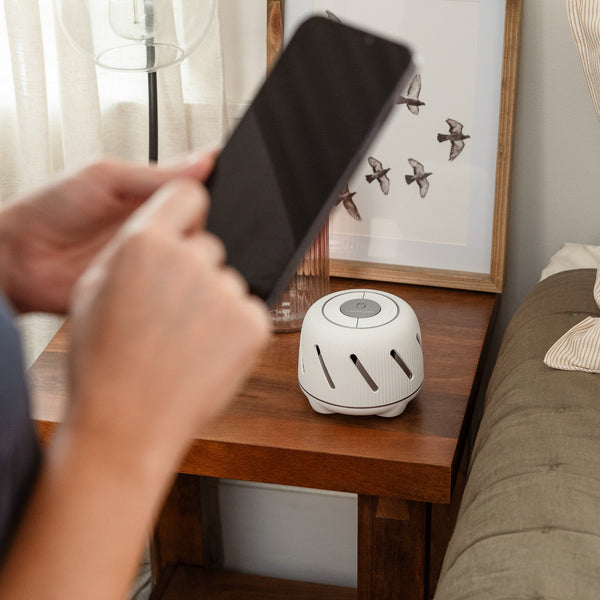 Dohm Connect