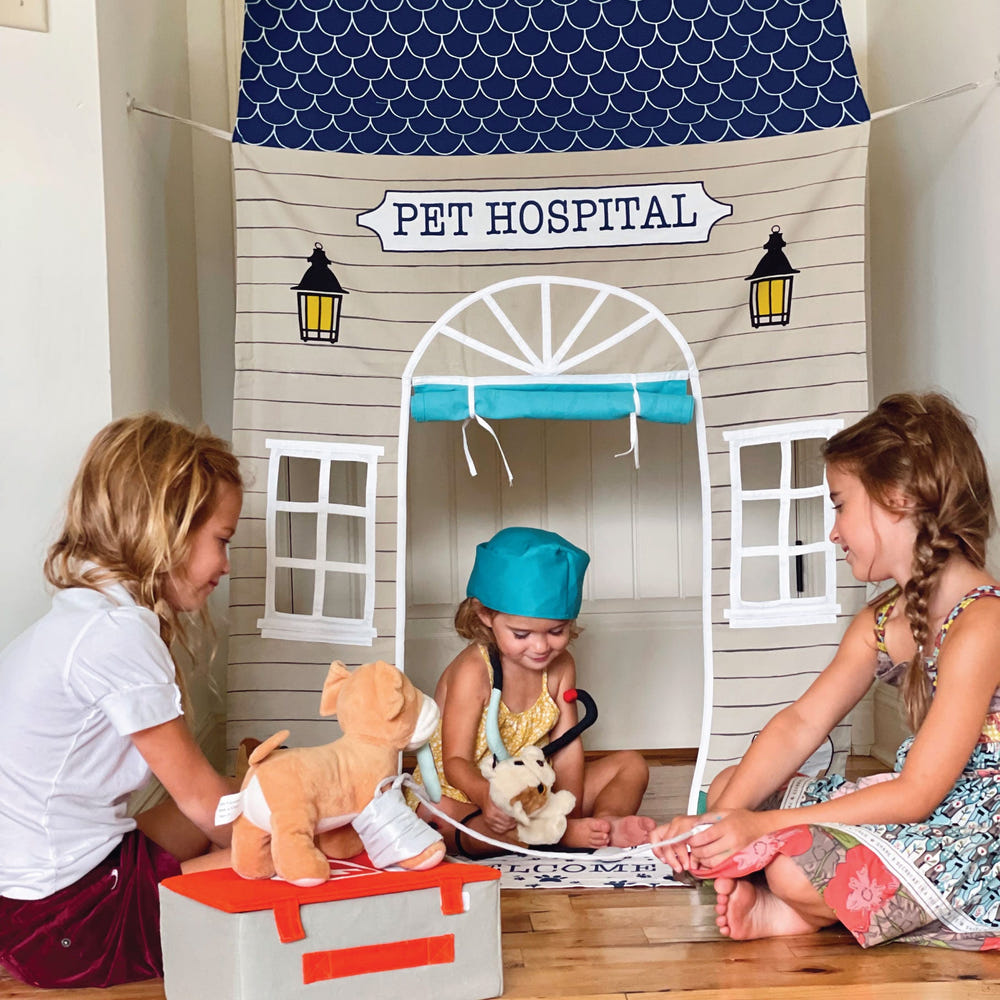 Pet Hospital Doorway Storefront with Vet's Kit