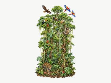 EDU-093_0-ana-tasarim