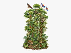 EDU-093_0-ana-tasarim