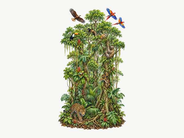 EDU-093_0-ana-tasarim