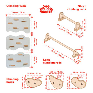 Wall Climbing Gym