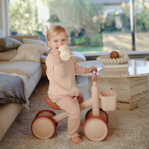 Mini Toddler Bike