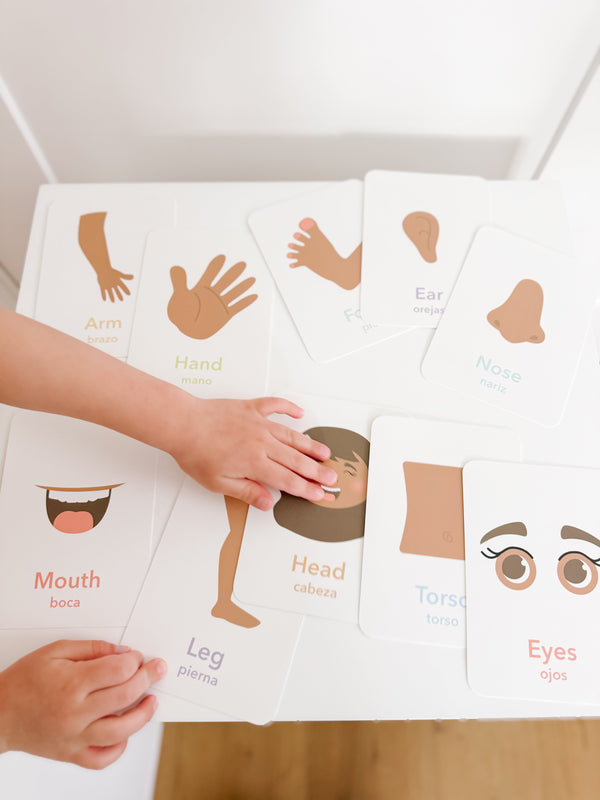 "Colorful body parts flashcards for early learning and sensory play, displayed at an angle for engaging visuals."