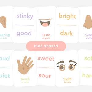 Colorful 5 Senses Flashcards for babies, promoting sensory exploration and learning through fun activities.